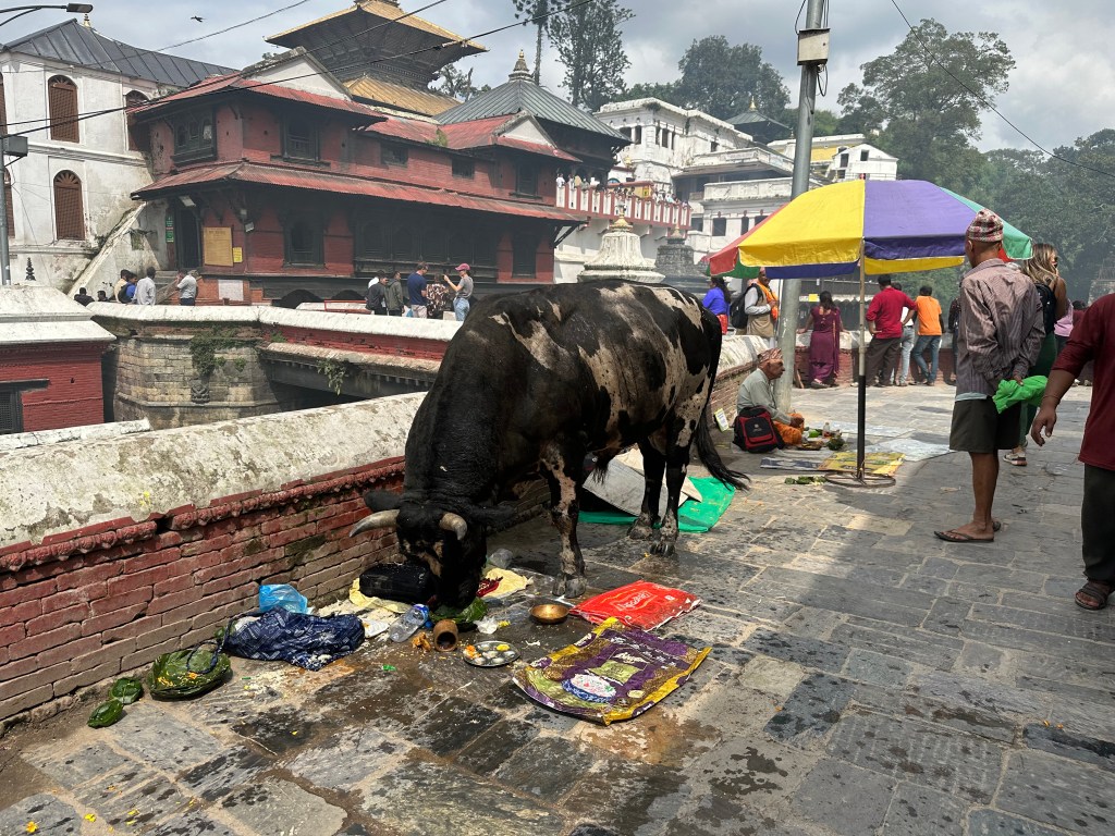 I Went to Nepal Looking for Myself and Found a&nbsp;Mirror